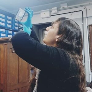 whatsapp image 2026 01 24 at 13.06.20